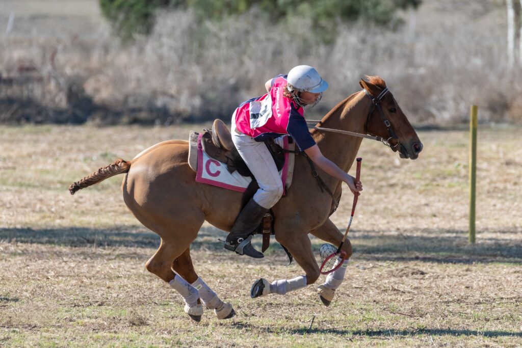 Chinchilla player on chestnut horse shooting goal