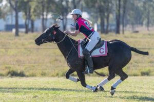 Chinchilla player on black horse carrying ball down the field