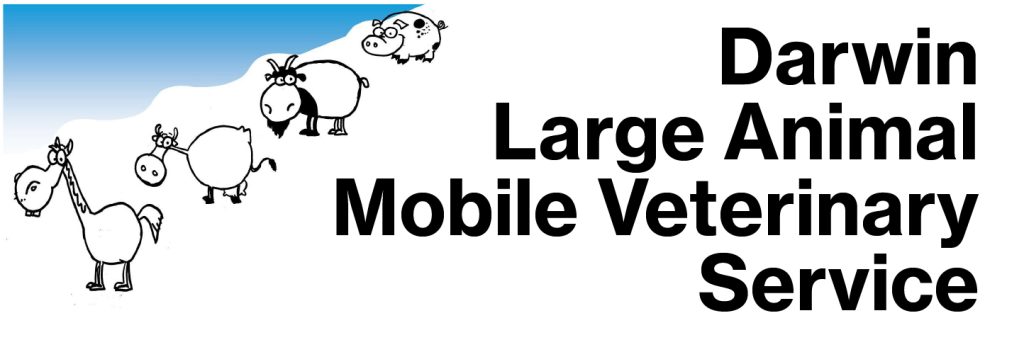 Darwin Large Animal Mobile Veterinary Service